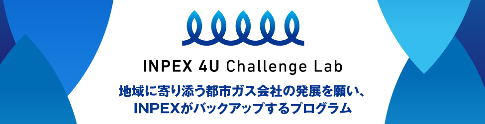 ガス事業高度化プログラム